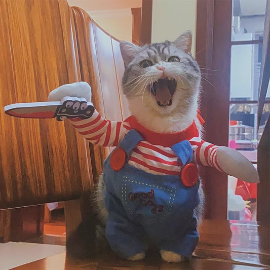 Grappige Huisdier Kostuum - Halloween Cosplay Outfit voor Katten en Kleine Honden
