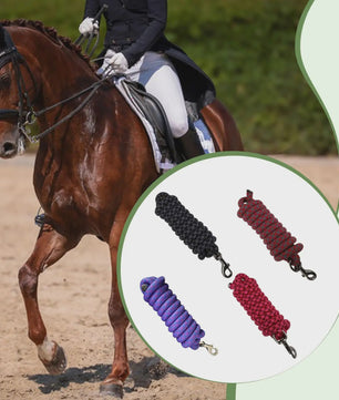 Flexibel Paardrijtouw 250cm Nylon Longeerlijn voor Training en Stalaccessoires