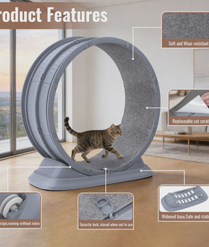 Groot Kattenloopwiel 31.5 inch - Stil & Veilig - Afneembaar Tapijt - Indoor Fitness Loopband voor Katten