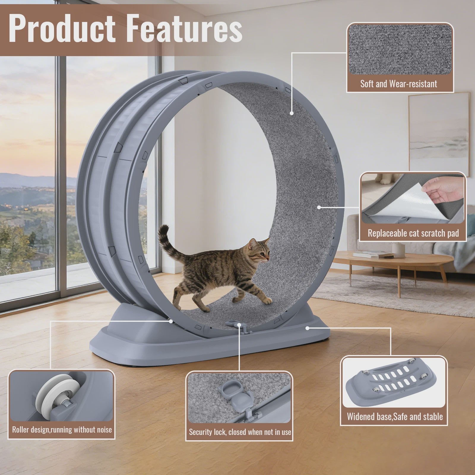 Groot Kattenloopwiel 31.5 inch - Stil & Veilig - Afneembaar Tapijt - Indoor Fitness Loopband voor Katten