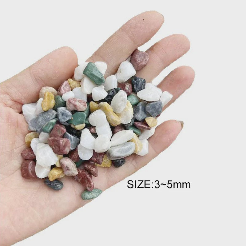 Kleurrijke Decoratieve Grindstenen voor Aquarium, Terrarium & Planten - 500/1000g