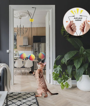 Interactief Katten Speeltje met Kleurrijke Ballen - Deurhanger voor Eindeloos Plezier