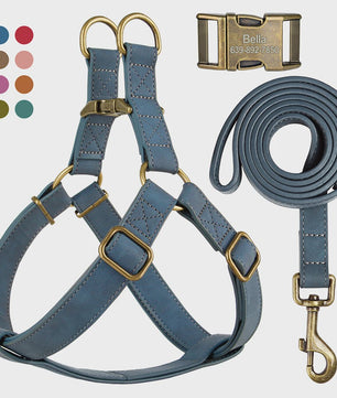 Luxe PU Leder Hondentuig met Leash en Gepersonaliseerde ID Gesp - Duurzaam voor Kleine & Middelgrote Honden