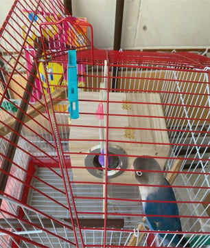 Houten Nestkast voor Parkieten en Kaketoes - Gemakkelijk Schoon te Maken Vogelhuisje