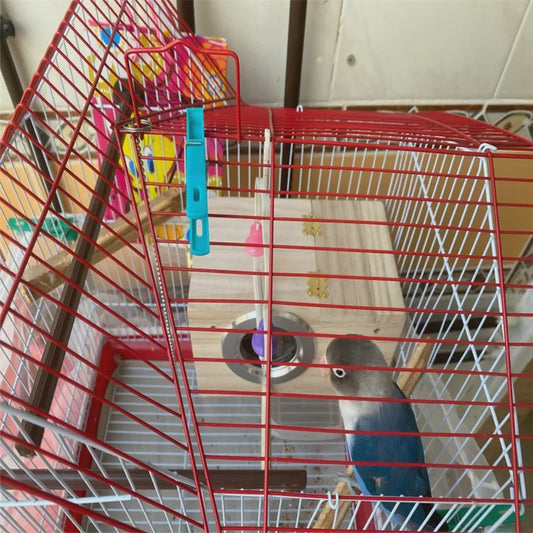 Houten Nestkast voor Parkieten en Kaketoes - Gemakkelijk Schoon te Maken Vogelhuisje