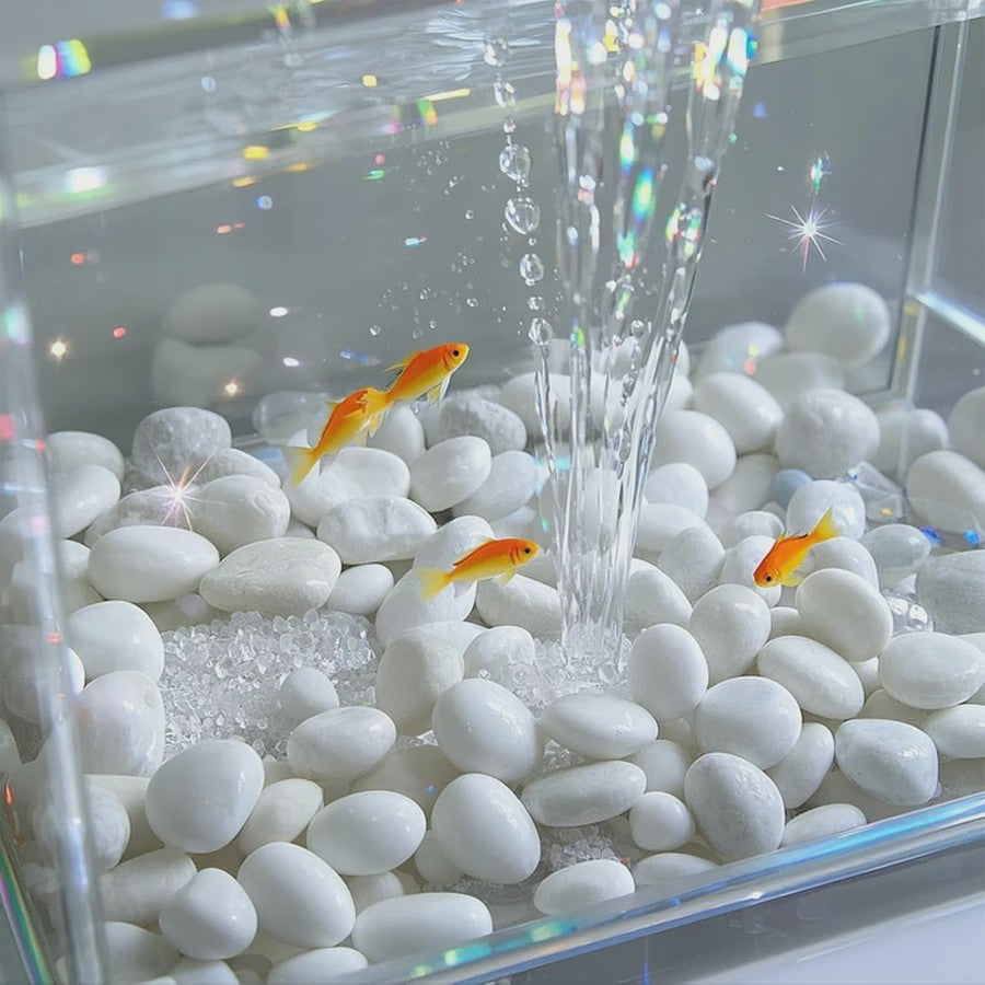Witte Rivierstenen 2-3cm (250/600g) - Gladde Decoratieve Kiezels voor Aquarium, Terrarium & Planten