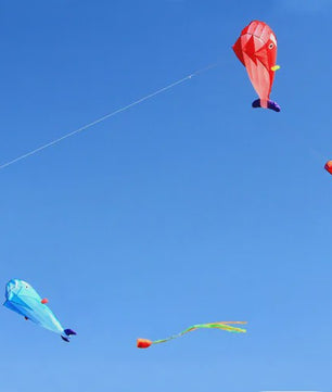 Grote Vlieger Dolfijn - Duurzaam Nylon Vliegplezier voor Volwassenen en Kinderen