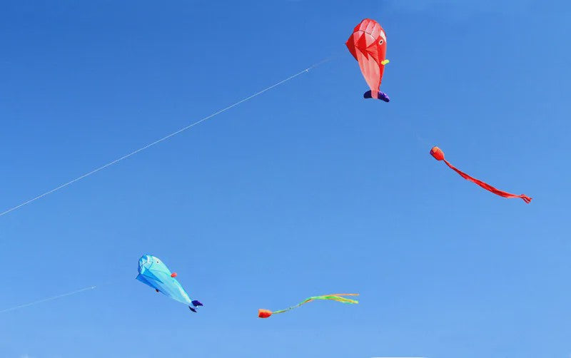 Grote Vlieger Dolfijn - Duurzaam Nylon Vliegplezier voor Volwassenen en Kinderen