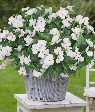 Zijden Balsam Kunstbloemen - Hoge Kwaliteit Decoratie voor Bruiloft, Tafel & Tuin