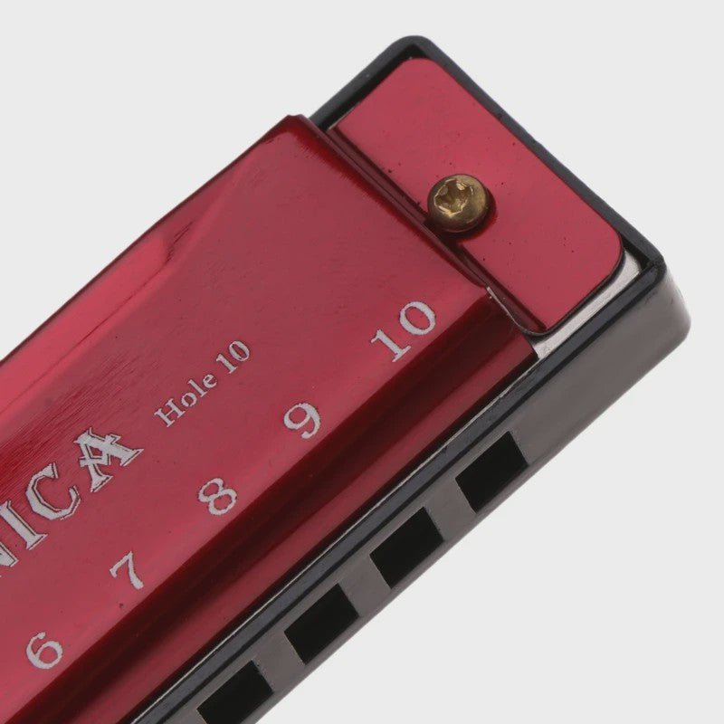 Diatonische Mondharmonica in C - 10 Gaten - Ideaal voor Beginners & Kinderen - Inclusief Hoesje