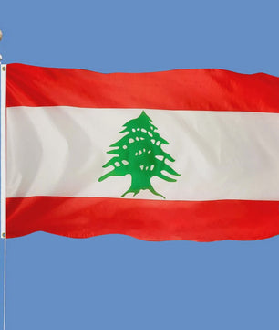 Libanese Vlag 90x150cm - Duurzaam Polyester voor Binnen en Buiten