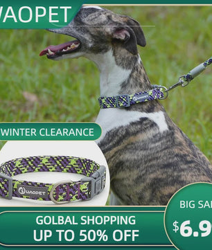 Verstelbare Hondenhalsband - Reflecterend Nylon, Ademend & Duurzaam voor Middelgrote tot Grote Honden