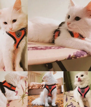 Verstelbaar Katten Tuigje met Lijn - Ademend Mesh Vest voor Kleine Honden & Katten