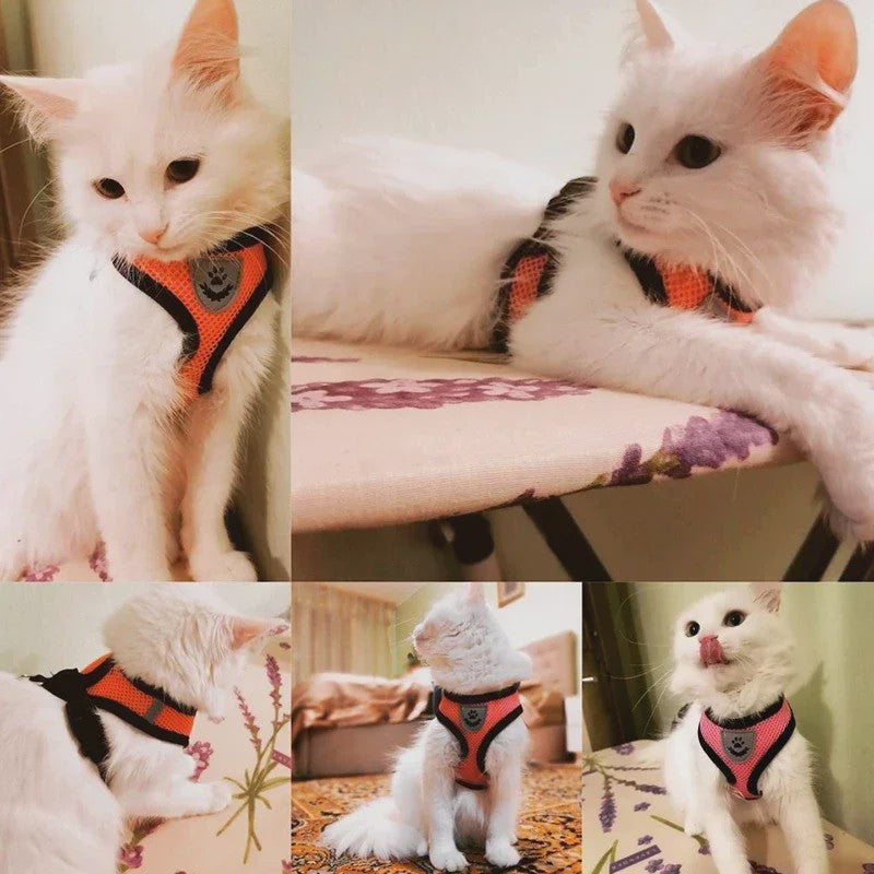 Verstelbaar Katten Tuigje met Lijn - Ademend Mesh Vest voor Kleine Honden & Katten