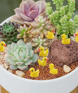 Set Mini Resin Eendjes - 100 of 200 Stuks - Decoratie, Knutselen & Feestjes