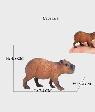 Set van 6 Realistische Dierenbeeldjes: Capibara, Eekhoorn & Marmot Speelgoed