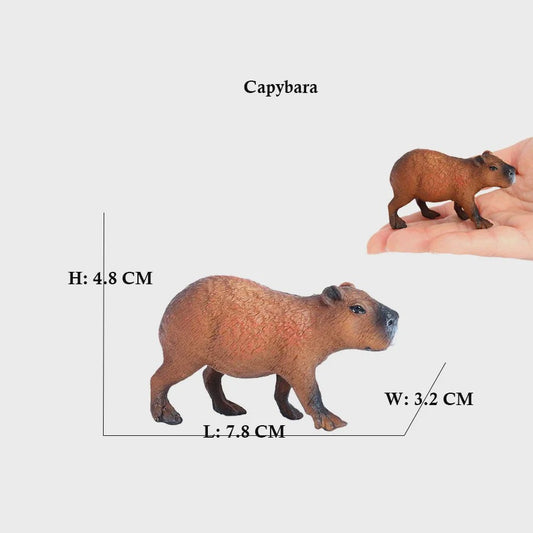 Set van 6 Realistische Dierenbeeldjes: Capibara, Eekhoorn & Marmot Speelgoed