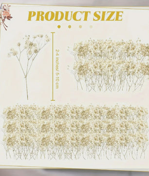 Gedroogde Mini Gipsenkruid Bloemen (100 stuks) - DIY Decoratie & Cadeau