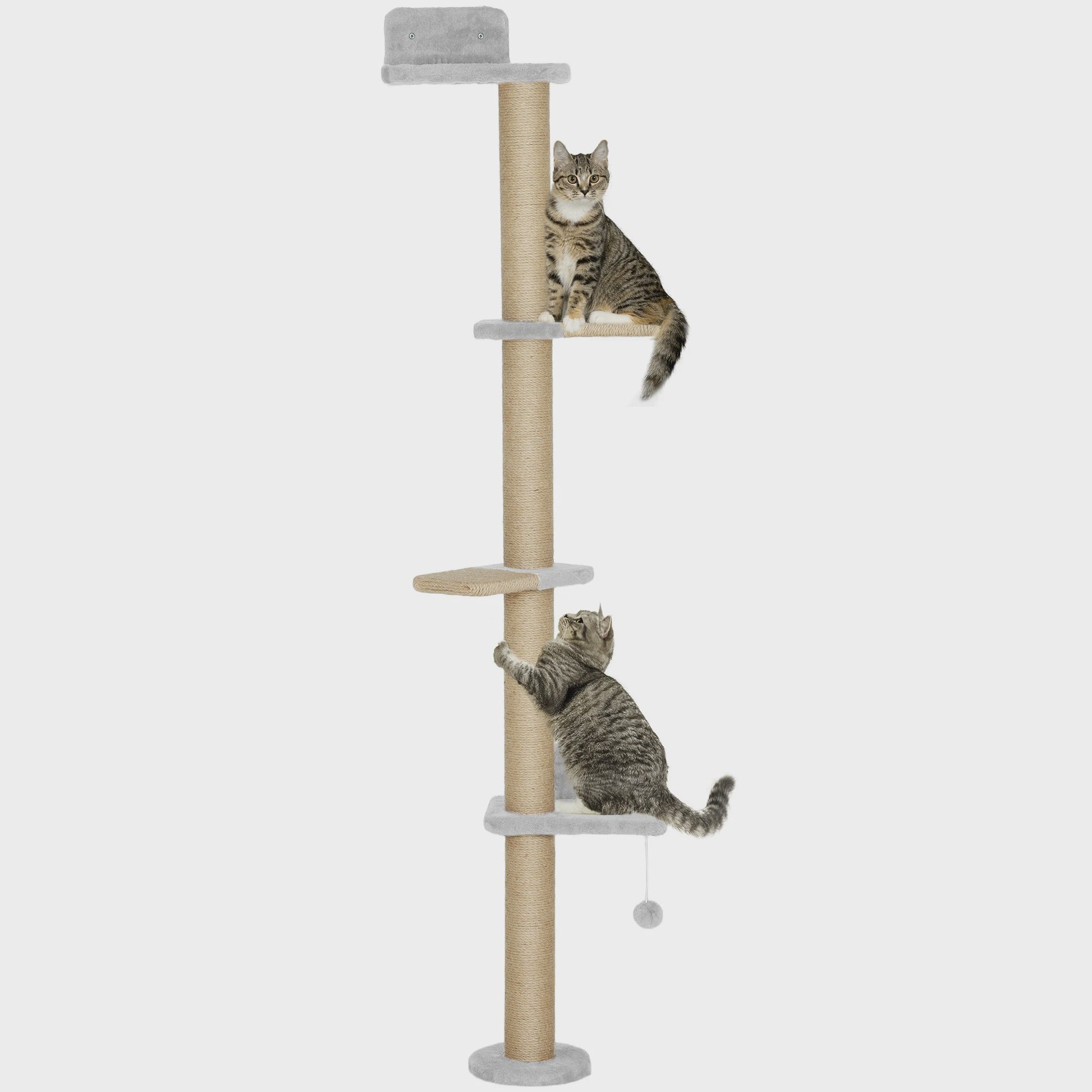 Pawhut 5-Niveaus Klimpaal voor Katten - Wandmontage, Krabpaal met Bal, 180 cm, Lichtgrijs