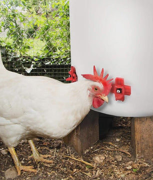 12x Automatische Kippen Drinkbakjes met Nippel - Kippen, Quails en Vogels