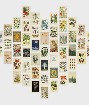 50 Stuks Esthetische Botanische Muurdecoratie Set: Planten, Bloemen, Vlinders & Paddenstoelen Posters