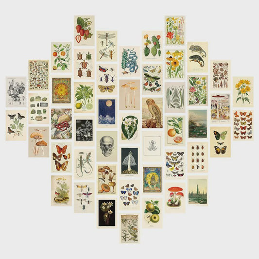 50 Stuks Esthetische Botanische Muurdecoratie Set: Planten, Bloemen, Vlinders & Paddenstoelen Posters