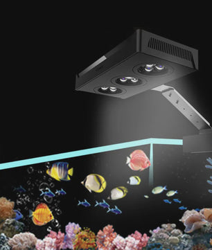 Spectra Nano 029 Aquariumverlichting 30W - Zoutwater, Koraalrif & Vistank met Touch Control