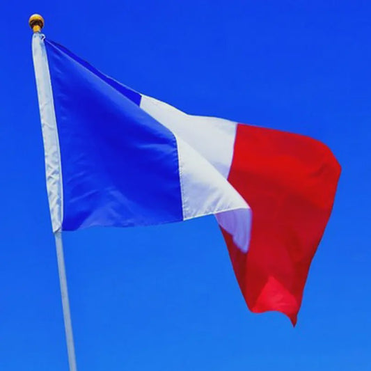 Franse Vlag 90x60cm - Decoratie voor Feest, Parade & Kantoor
