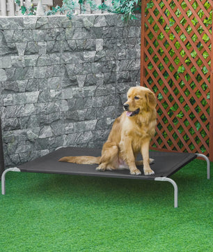 PawHut XXL Verhoogd Honden- en Kattenbed - Comfortabel en Duurzaam - 150x90x20 cm Zwart