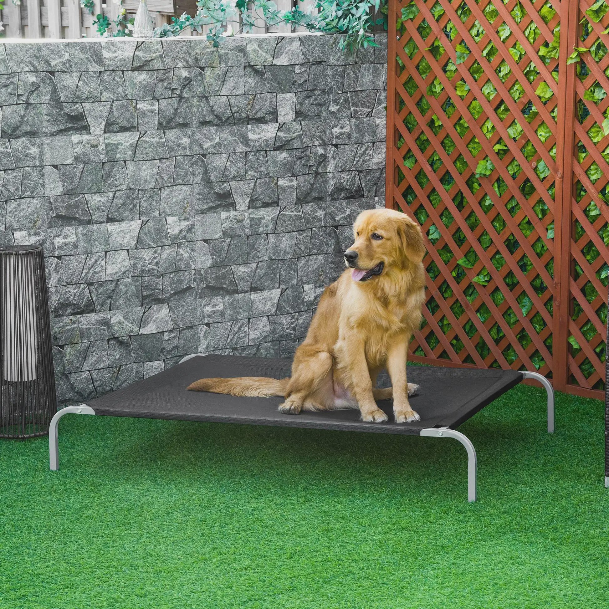 PawHut XXL Verhoogd Honden- en Kattenbed - Comfortabel en Duurzaam - 150x90x20 cm Zwart