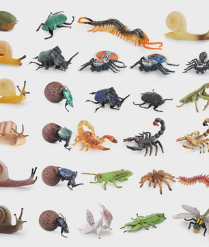 Realistische Insecten & Slakken Modellen - Educatief Speelgoed, Verzamelen & Decoratie