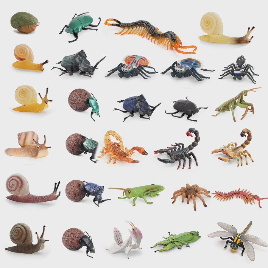 Realistische Insecten & Slakken Modellen - Educatief Speelgoed, Verzamelen & Decoratie