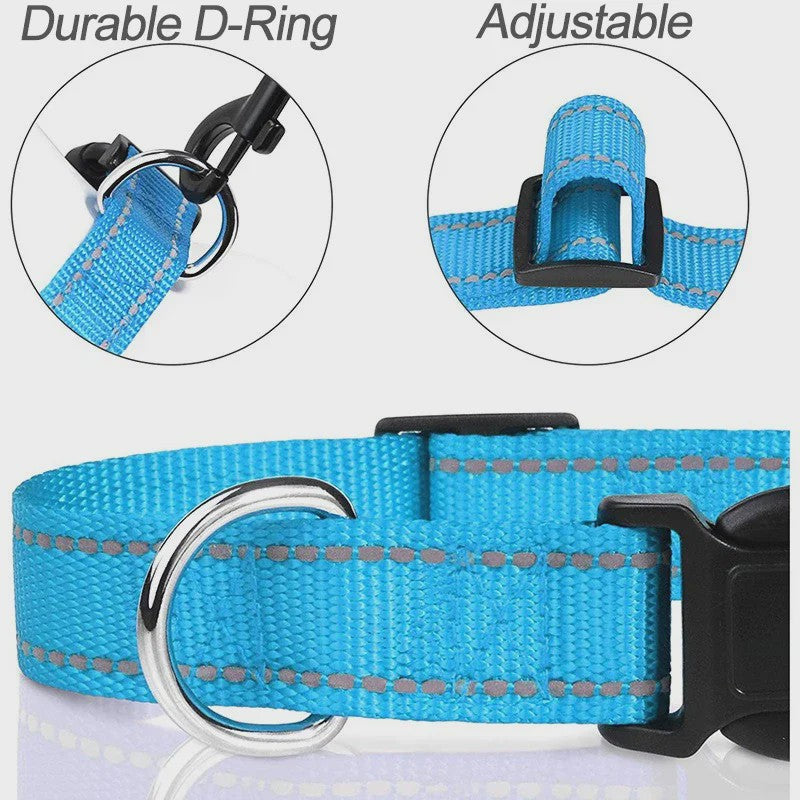 Reflecterende Hondenhalsband - Verstelbaar Nylon, Veilig en Duurzaam