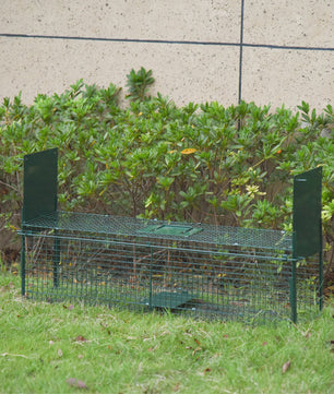 Pawut trap live Cage catch x 25x28 cm wedge trap for Marten Rats Mouse-2 entries + handle-metal Green