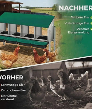 Legnest Kippen 4 Vakken Metaal Groen met Automatische Eierafvoer