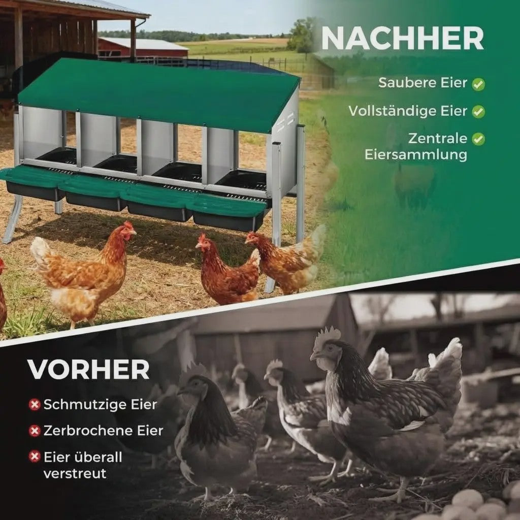 Legnest Kippen 4 Vakken Metaal Groen met Automatische Eierafvoer