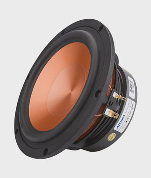AIYIMA 6.5 inch HIFI Woofer Speaker - 100W Midrange Bass Loudspeaker voor Home Theater & DIY