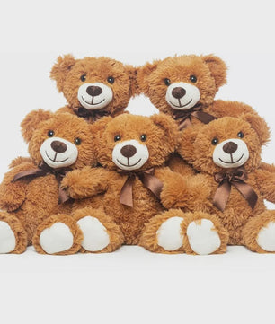Set van 5 Pluche Teddyberen - 35cm - Knuffel Cadeau voor Kinderen & Vriendinnen