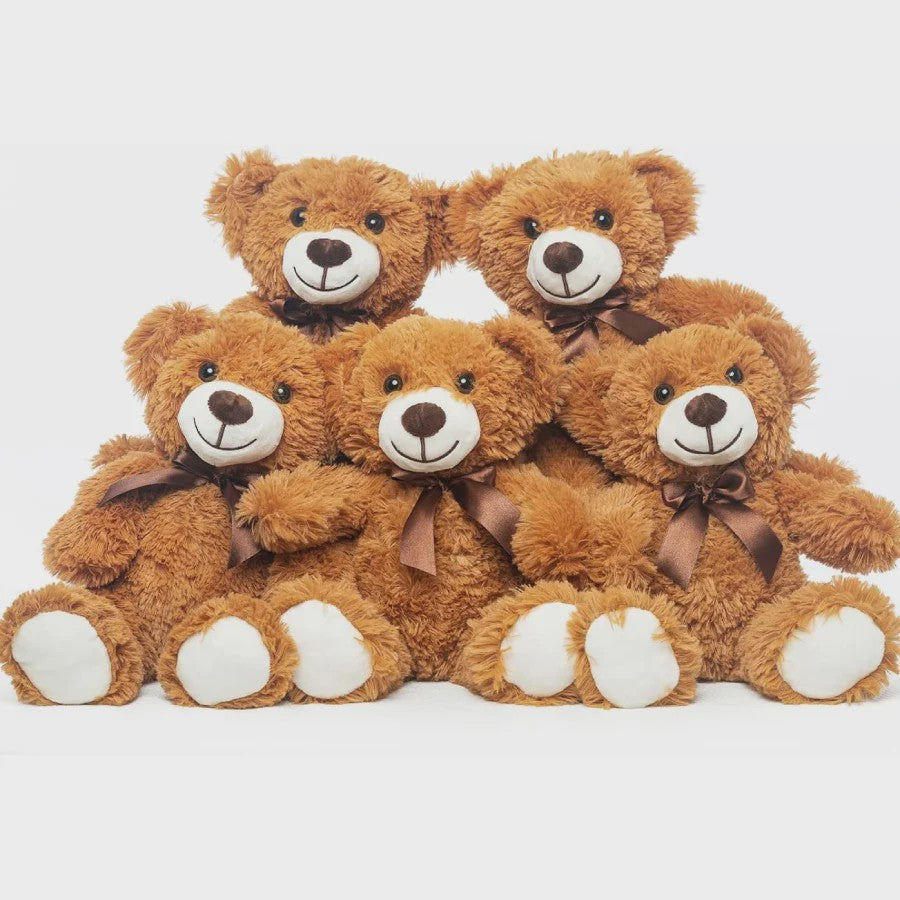Set van 5 Pluche Teddyberen - 35cm - Knuffel Cadeau voor Kinderen & Vriendinnen