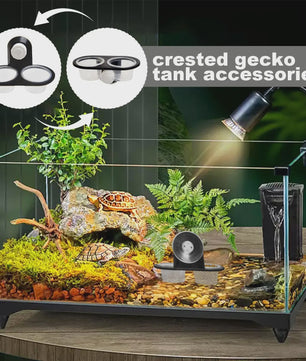Voer- en Waterbakje met Zuignap voor Reptielen Terrarium