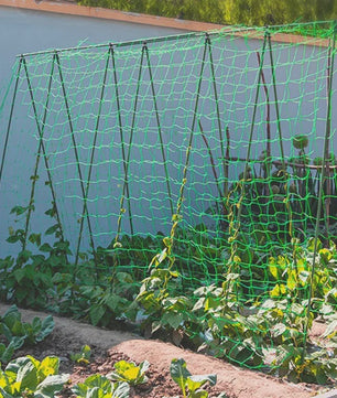 Stevig Klimnet voor Planten & Pergola's - Polyester Tuinnet met Vierkante Mallas