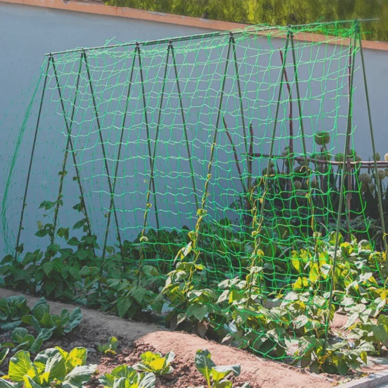 Stevig Klimnet voor Planten & Pergola's - Polyester Tuinnet met Vierkante Mallas