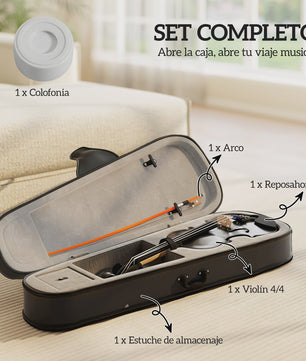 Volledige set 4/4 houten viool zwart met koffer, strijkstok, hars en accessoires