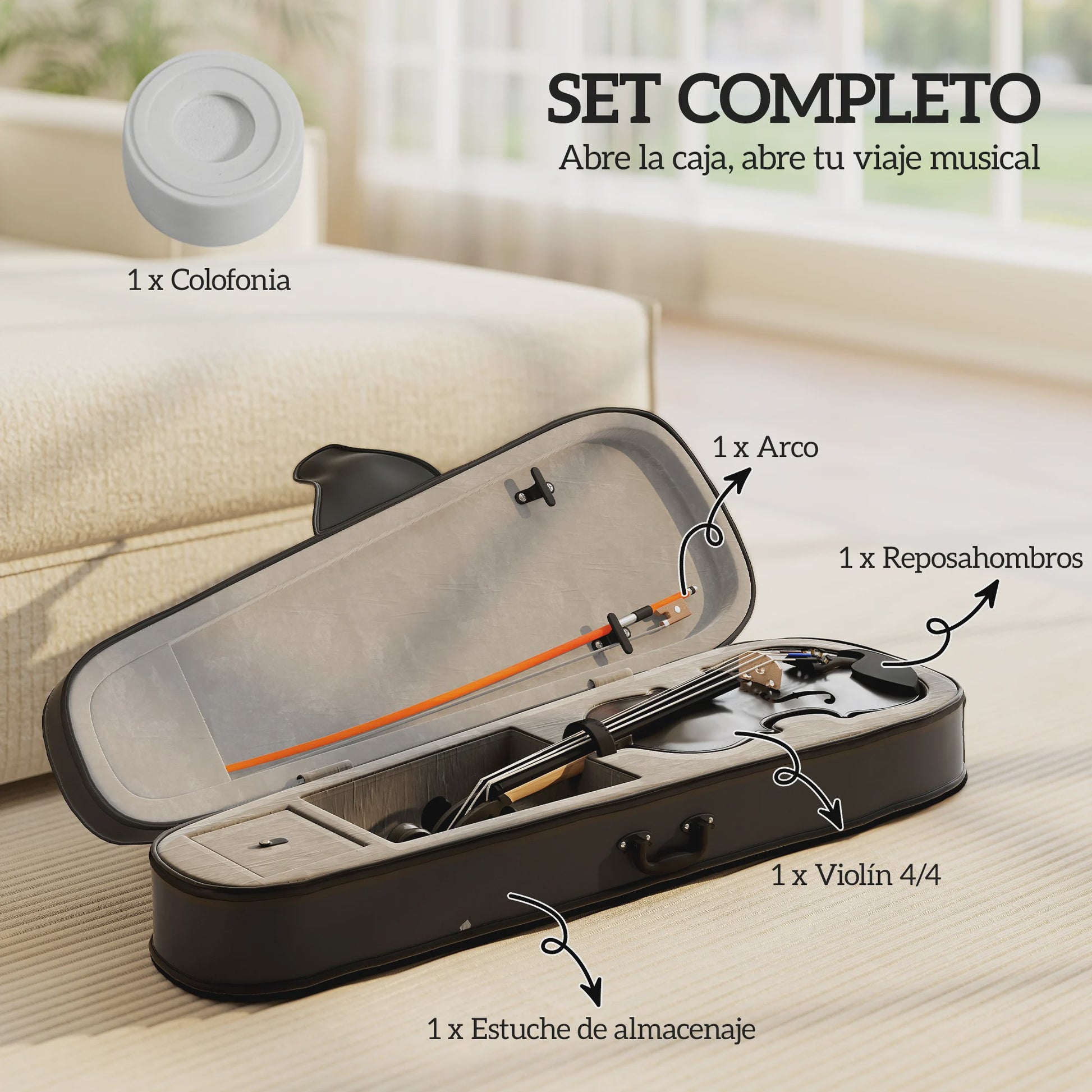 Volledige set 4/4 houten viool zwart met koffer, strijkstok, hars en accessoires