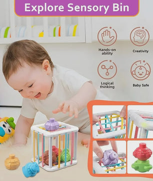 Montessori Vormenstoof Kubus - Educatief Speelgoed voor Baby's met Kleurrijke Vormen