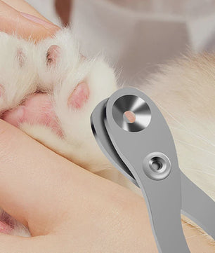 Professionele Nagelschaar voor Katten en Honden - Veilig en Comfortabel Knippen