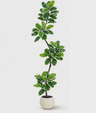Realistische Kunstplant Ficus Lyrata (Fiddle Leaf Fig) - 180cm - Met Pot en Mos