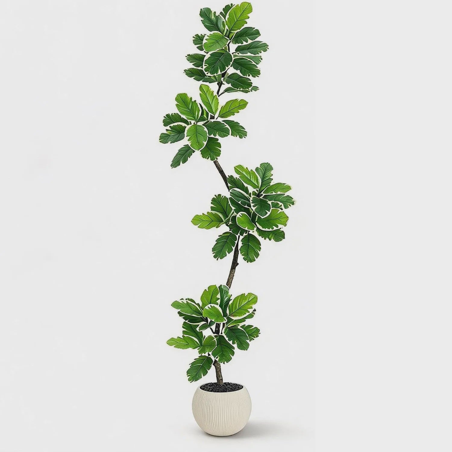Realistische Kunstplant Ficus Lyrata (Fiddle Leaf Fig) - 180cm - Met Pot en Mos