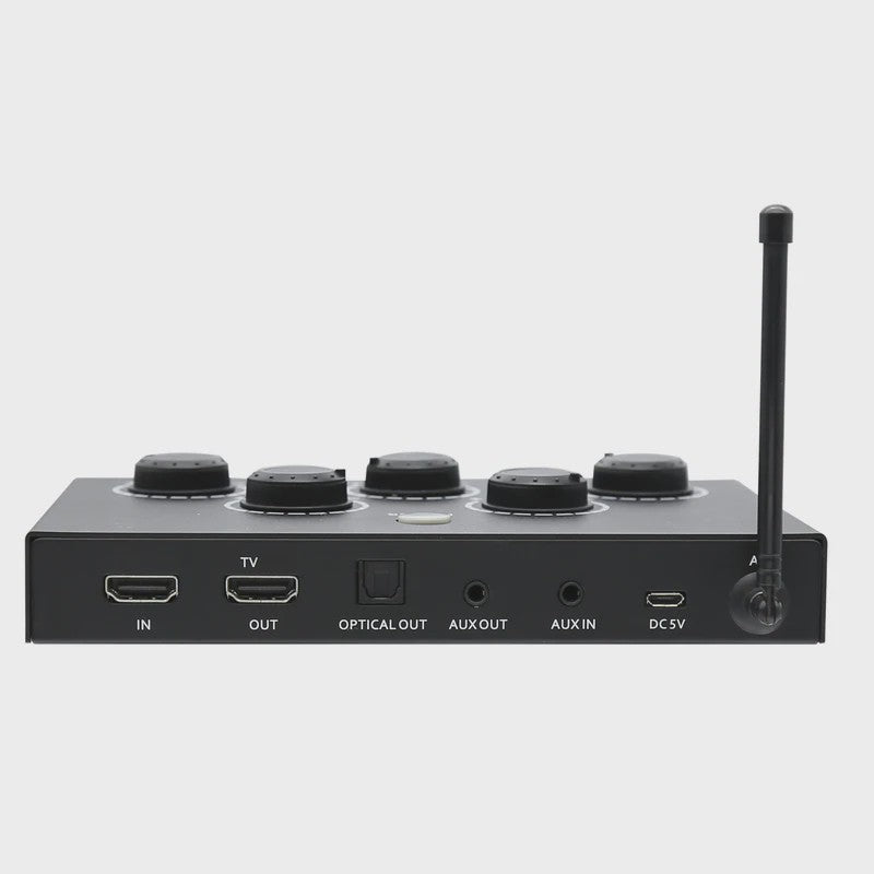 Draadloos UHF Karaoke Microfoon Systeem met Mixer voor Smart TV, PC en Home Theater