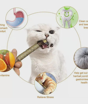 Natuurlijke Zilverrank Tandenknarsstaaf voor Katten - Speelgoed voor Tandverzorging & Reiniging